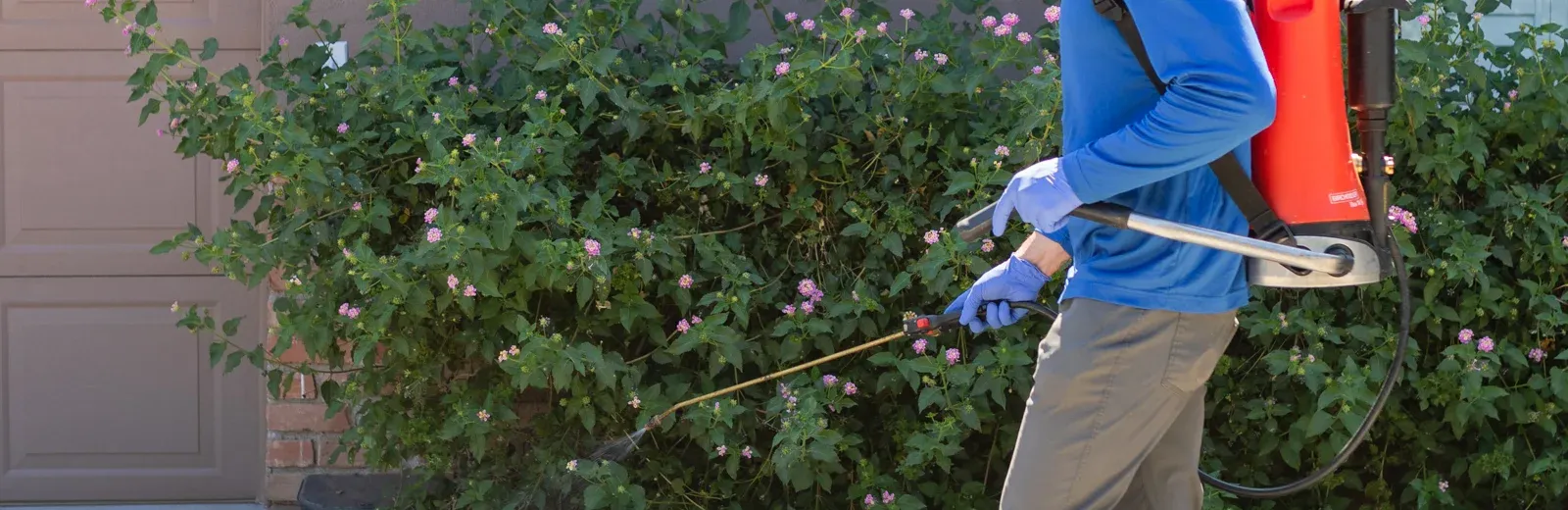 spraying exterior of home