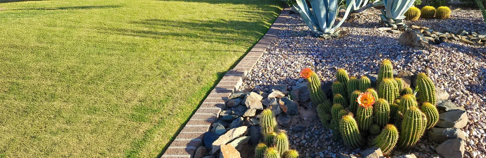 Phoenix Arizona lawn
