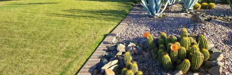 Phoenix Arizona lawn