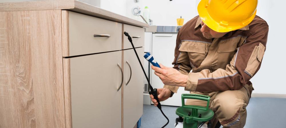 exterminator spraying for pests