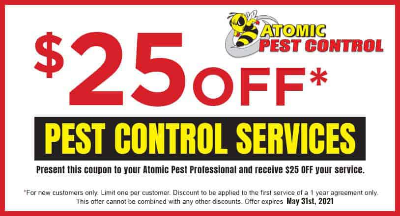 Pest Control Special - $25 Off