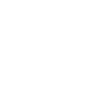 Bird Icon