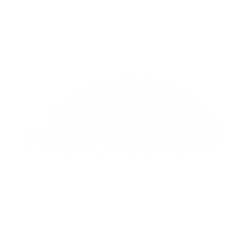 Sow Bugs and Pill Bugs