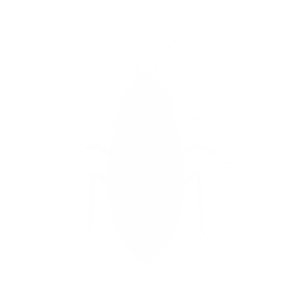 Cockroaches, Palmetto Bugs, and Water Bugs