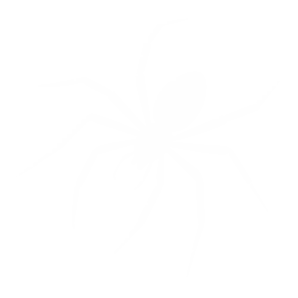 Spiders