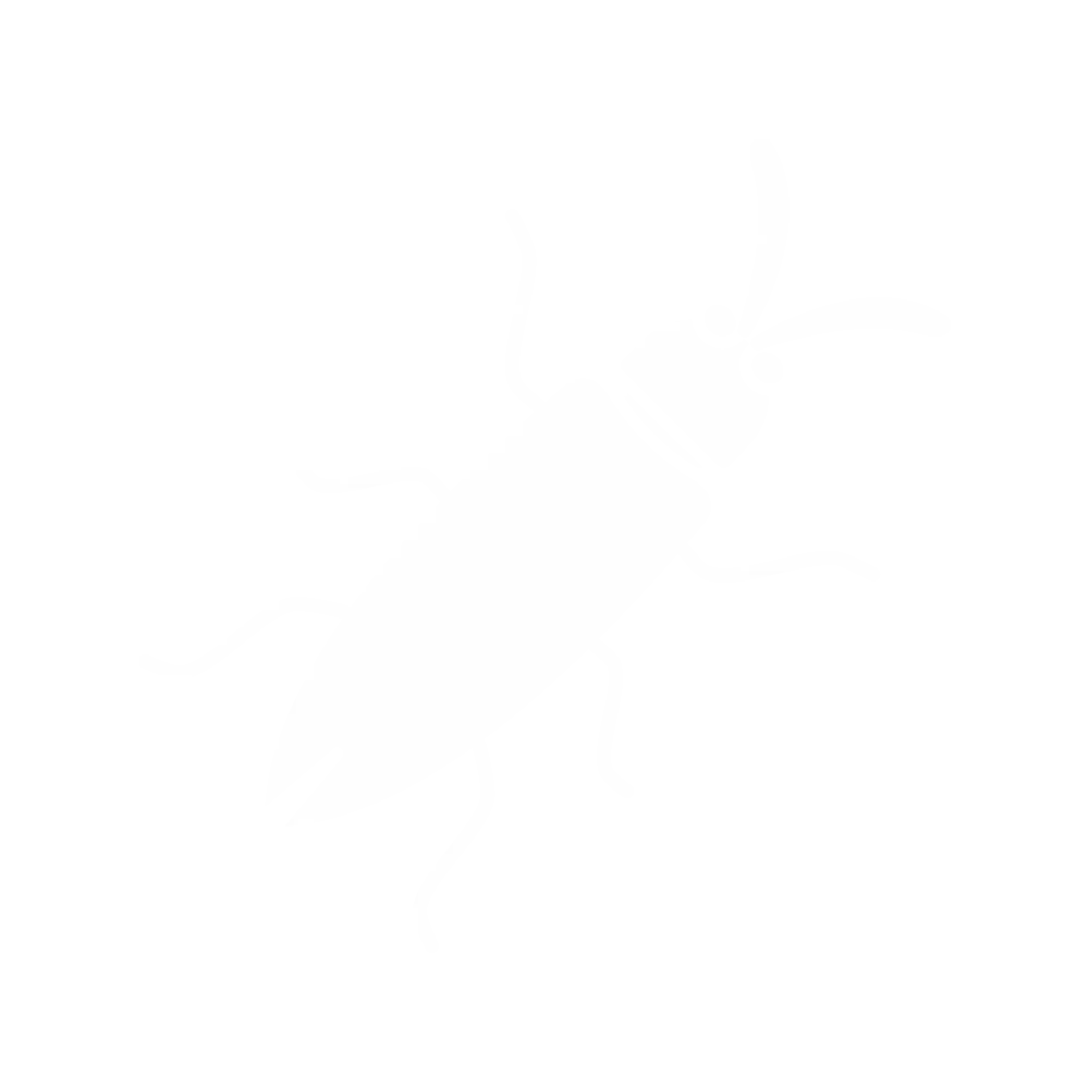 Springtails