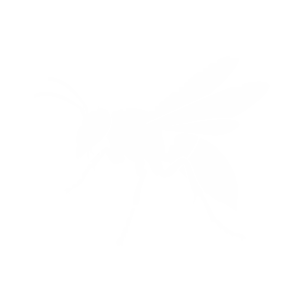 Yellow Jackets
